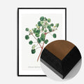 Black Wood Frame