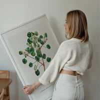 Manchineel Berry Botanical Print