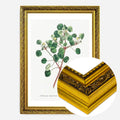 Gold Ornate Frame
