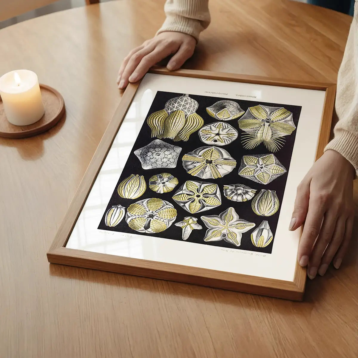 Silver & Gold Marine Animals Vintage Illustration Print