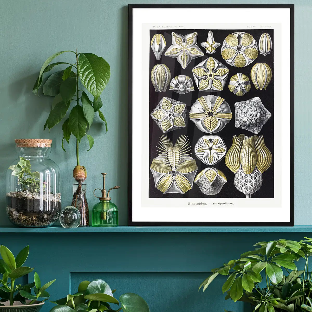 Silver & Gold Marine Animals Vintage Illustration Print