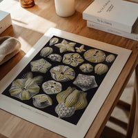 Silver & Gold Marine Animals Vintage Illustration Print