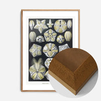 Silver & Gold Marine Animals Vintage Illustration Print