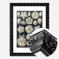 Black Ornate Frame