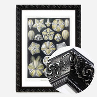 Silver & Gold Marine Animals Vintage Illustration Print