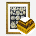Gold Ornate Frame