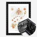 Black Ornate Frame