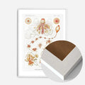 White Wood Frame