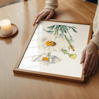 Matilija Poppy Flower Illustration Print