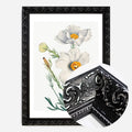 Black Ornate Frame