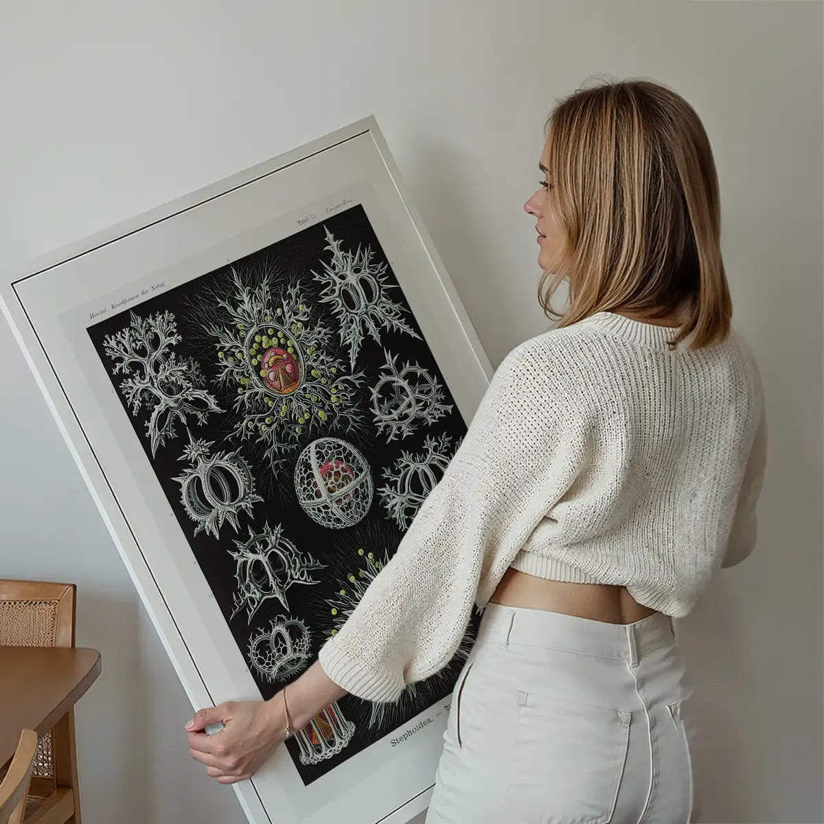 Microorganisms Illustration Print 3