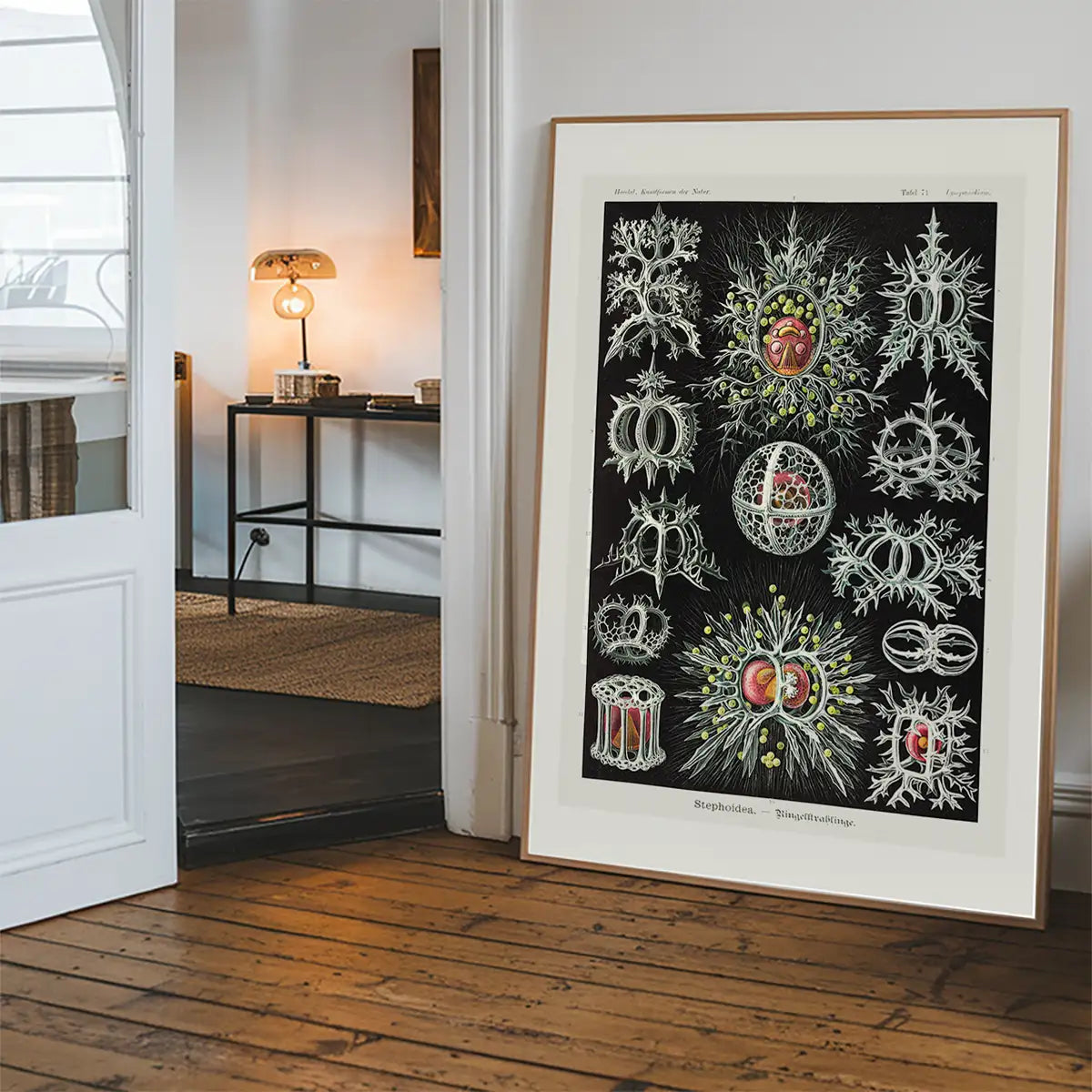 Microorganisms Illustration Print 3