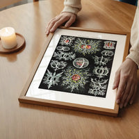 Microorganisms Illustration Print 3