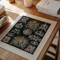 Microorganisms Illustration Print 3