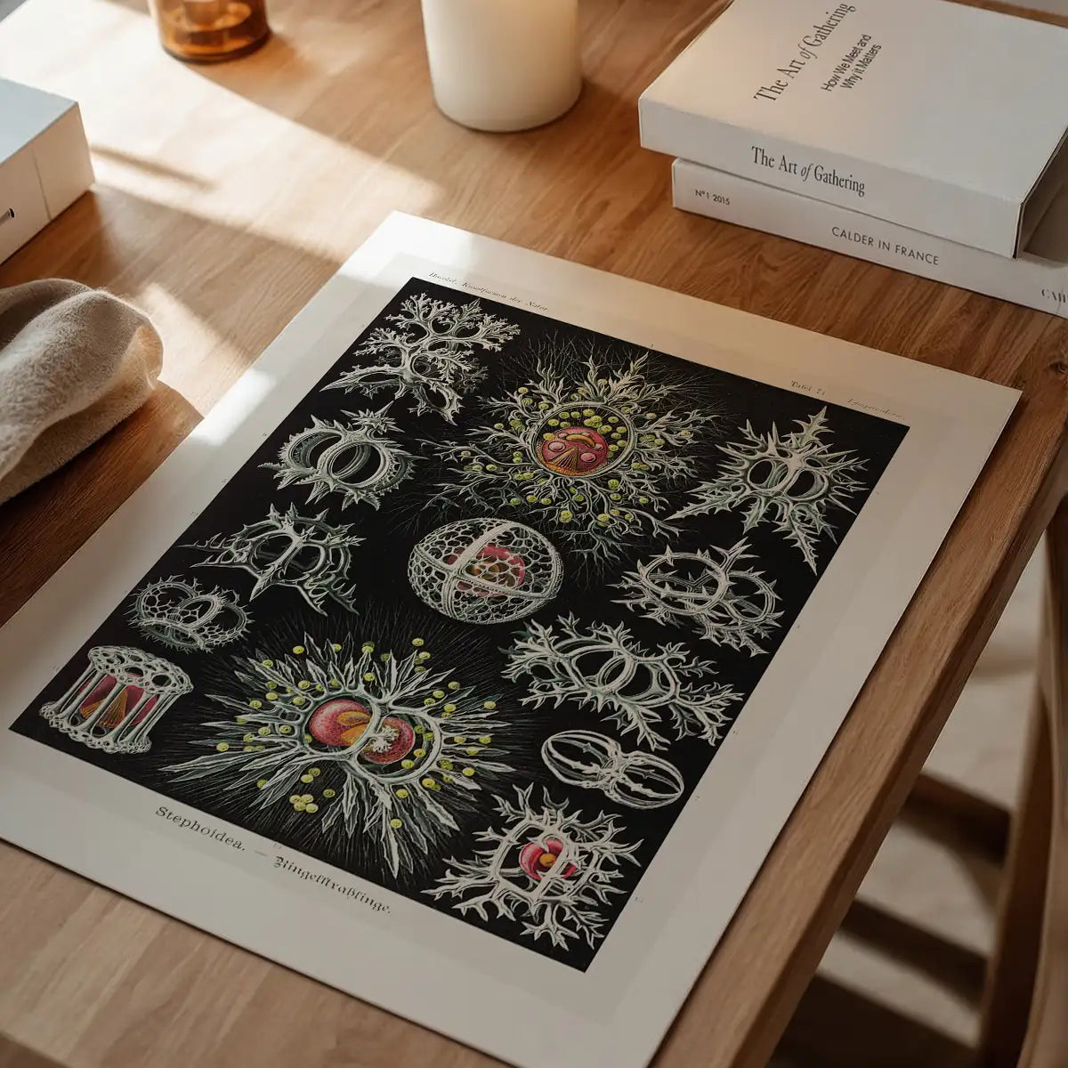 Microorganisms Illustration Print 3