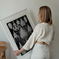 Microorganisms Black and White Illustration Print