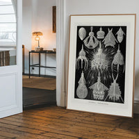 Microorganisms Black and White Illustration Print