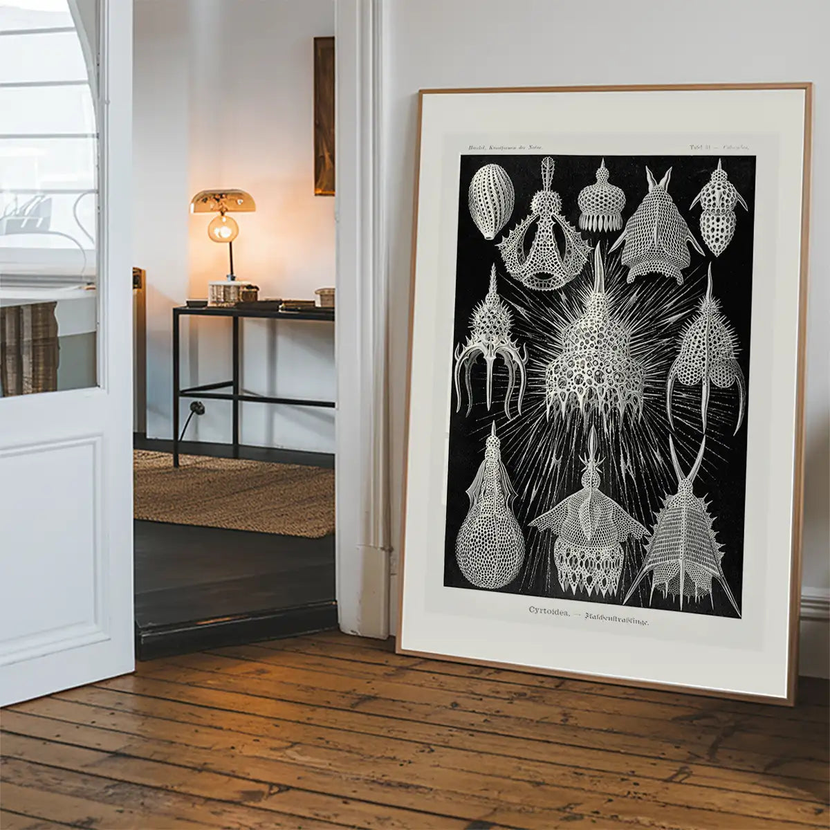 Microorganisms Black and White Illustration Print