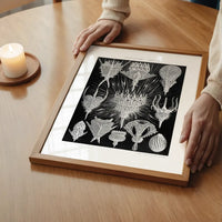 Microorganisms Black and White Illustration Print