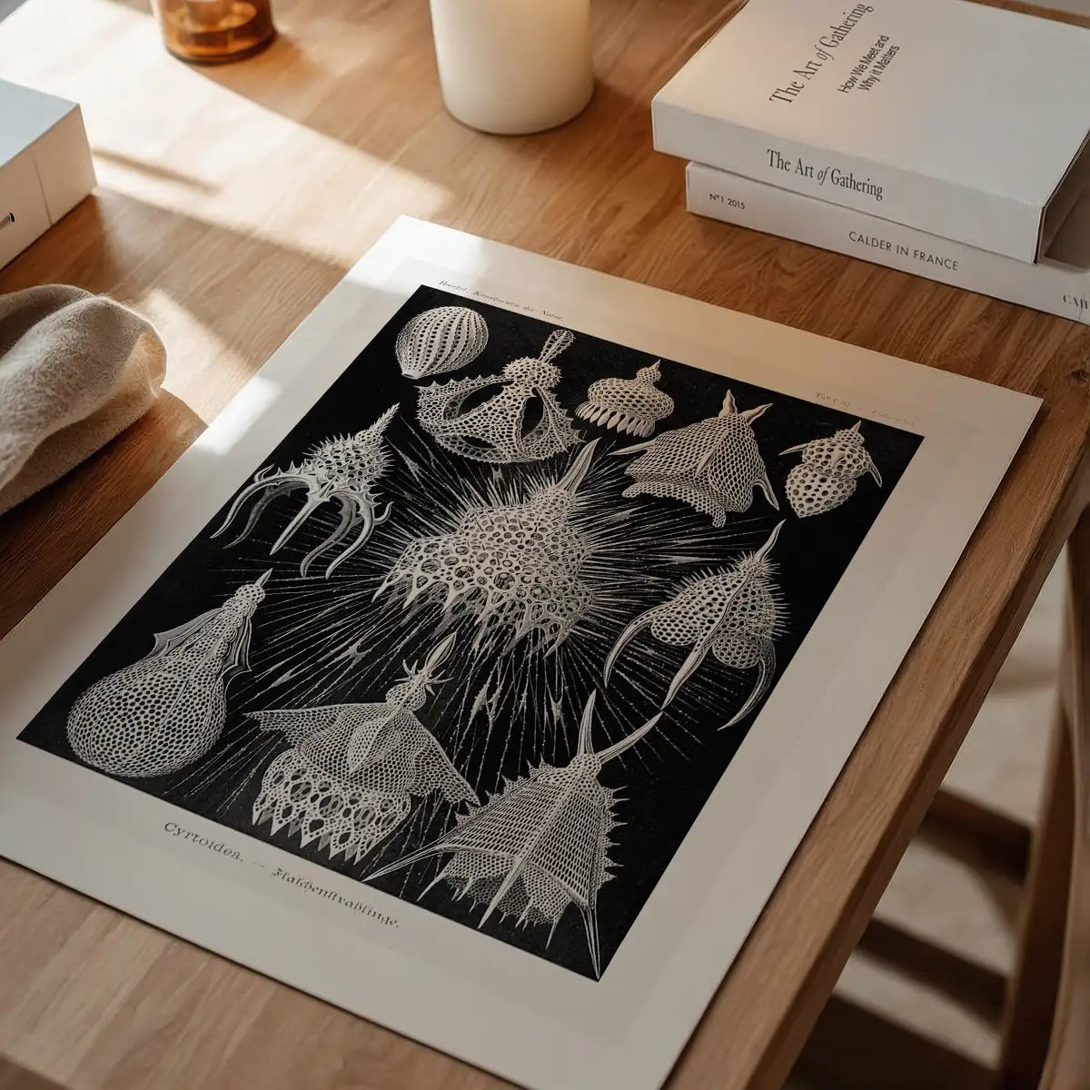 Microorganisms Black and White Illustration Print