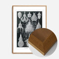 Oak Wood Frame
