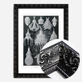 Black Ornate Frame