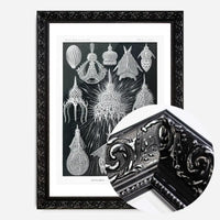 Microorganisms Black and White Illustration Print