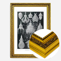 Microorganisms Black and White Illustration Print