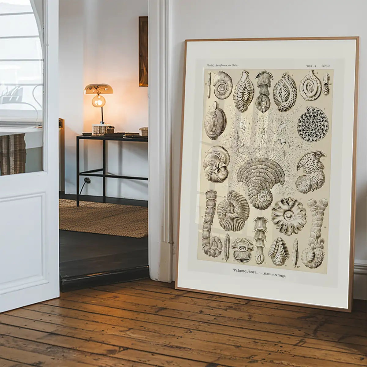 Microorganisms Vintage Diagram Print