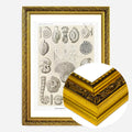 Gold Ornate Frame