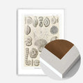 White Wood Frame