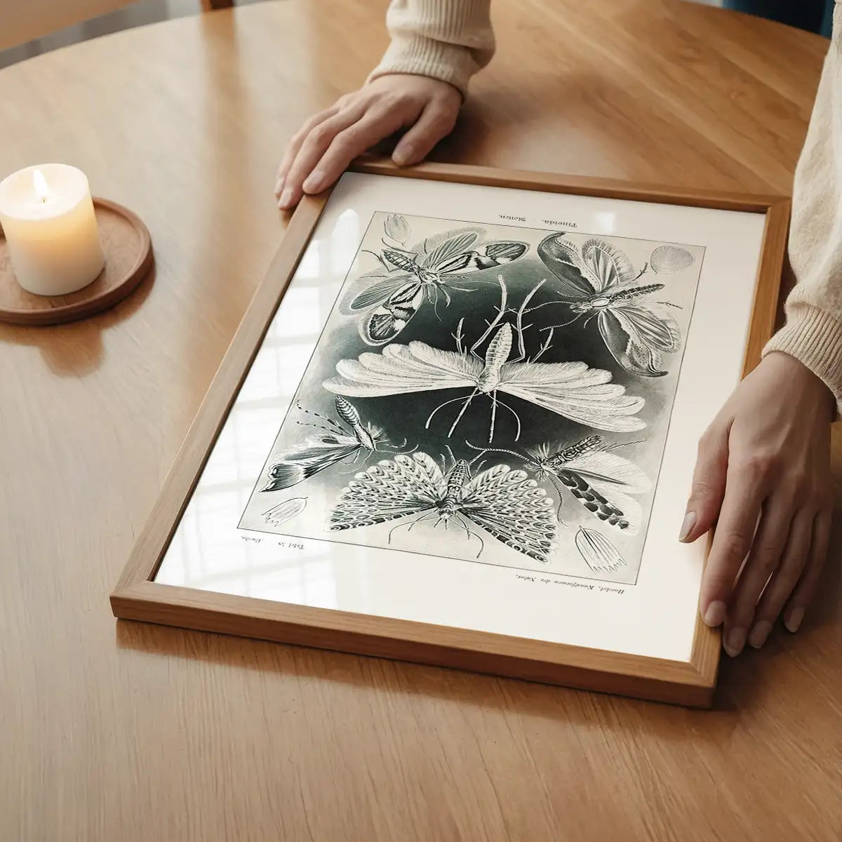 Moths Black & White Illustration Gothic Print