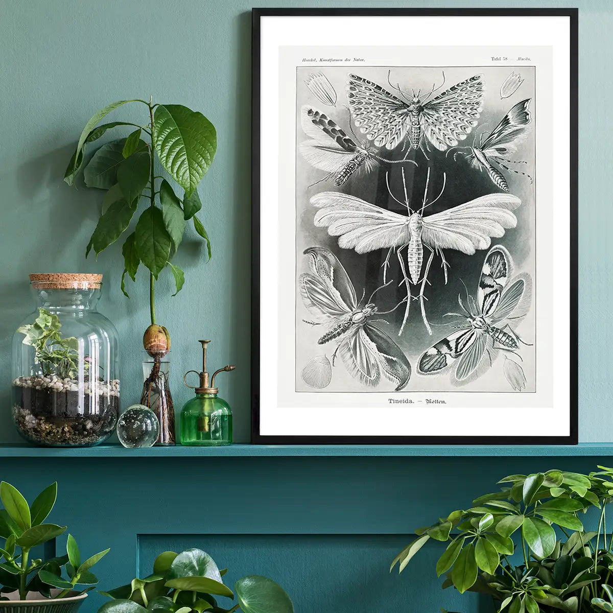 Moths Black & White Illustration Gothic Print