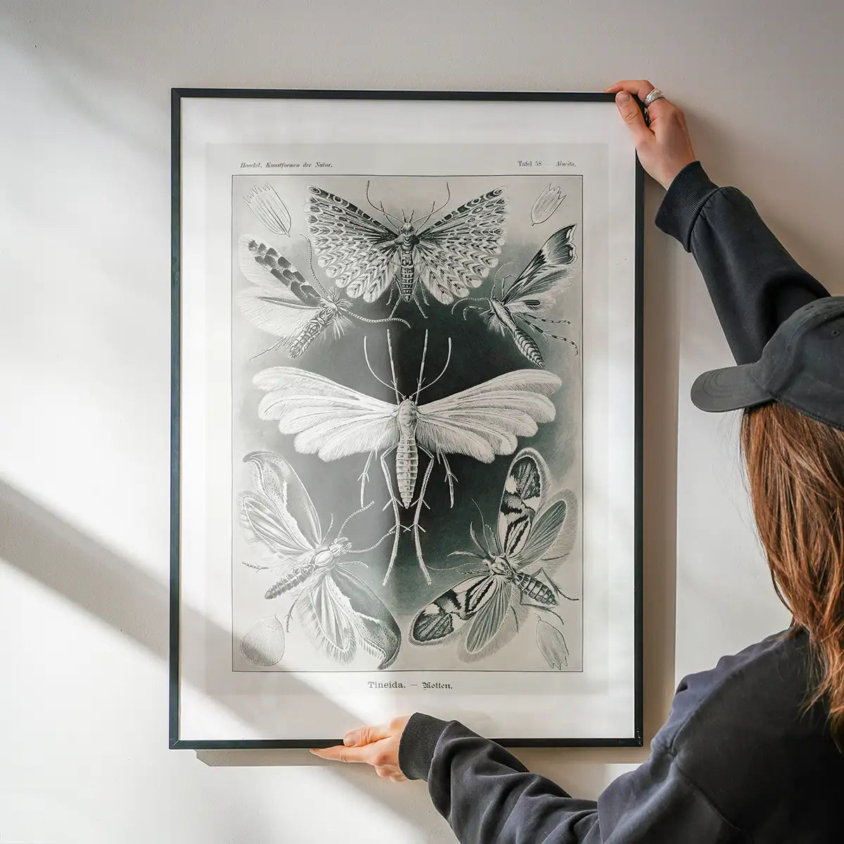 Moths Black & White Illustration Gothic Print