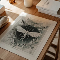 Moths Black & White Illustration Gothic Print