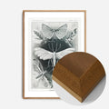 Oak Wood Frame