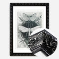 Black Ornate Frame