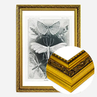 Moths Black & White Illustration Gothic Print