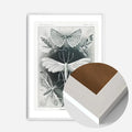 White Wood Frame