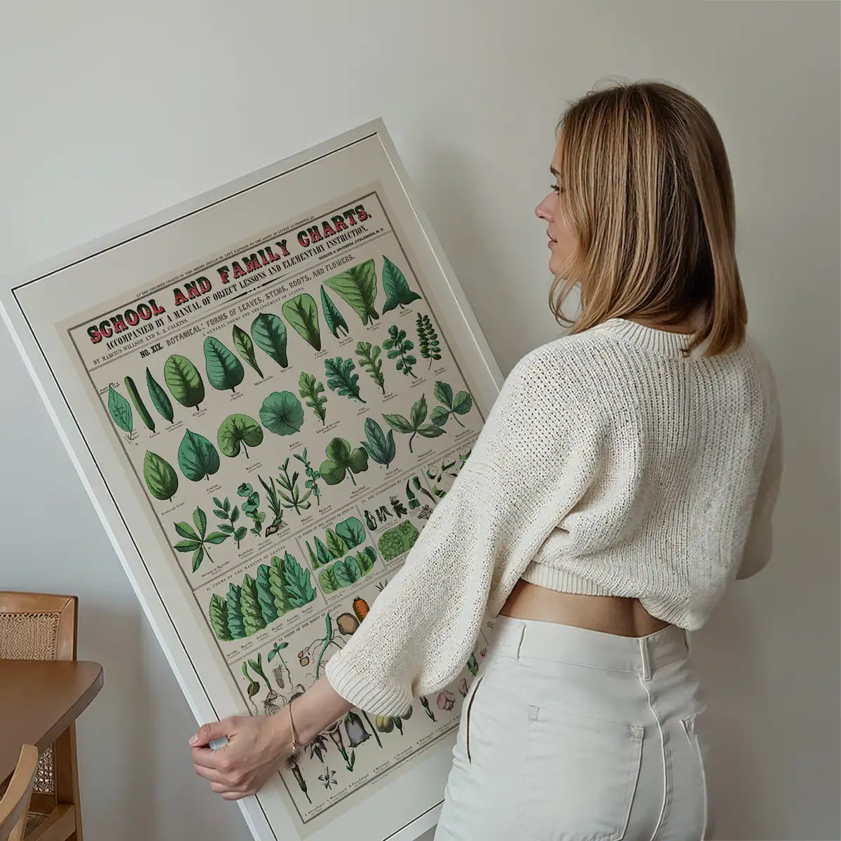 School and Family Charts - Leaves Stems Roots Flowers Diagram Print