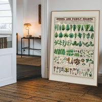 School and Family Charts - Leaves Stems Roots Flowers Diagram Print