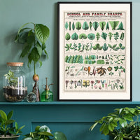 School and Family Charts - Leaves Stems Roots Flowers Diagram Print