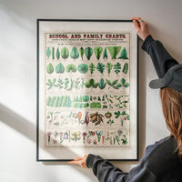 School and Family Charts - Leaves Stems Roots Flowers Diagram Print