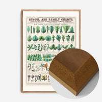 School and Family Charts - Leaves Stems Roots Flowers Diagram Print