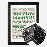 School and Family Charts - Leaves Stems Roots Flowers Diagram Print