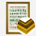 Gold Ornate Frame