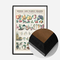 School and Family Charts - Uses of Plants 2 Botanical Print