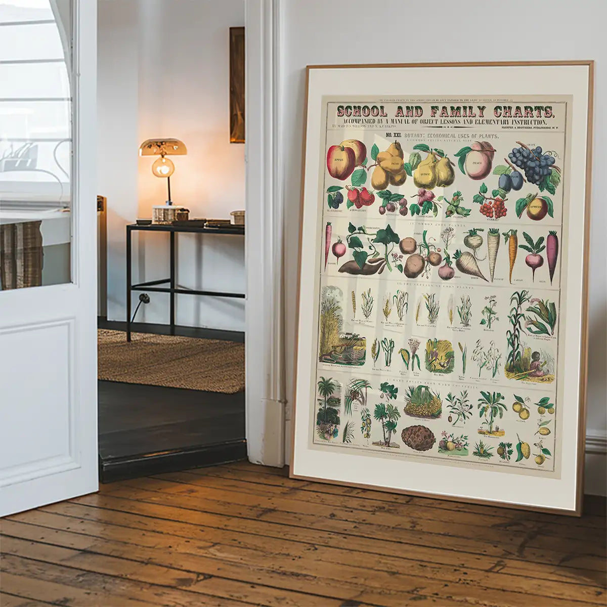 School and Family Charts - Uses of Plants 2 Botanical Print