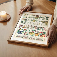 School and Family Charts - Uses of Plants 2 Botanical Print