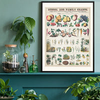 School and Family Charts - Uses of Plants 2 Botanical Print